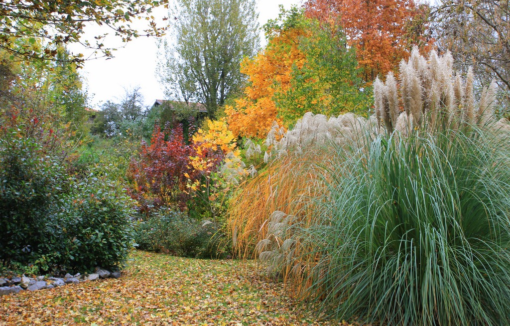 [IMG_4304%255B3%255D.jpg]