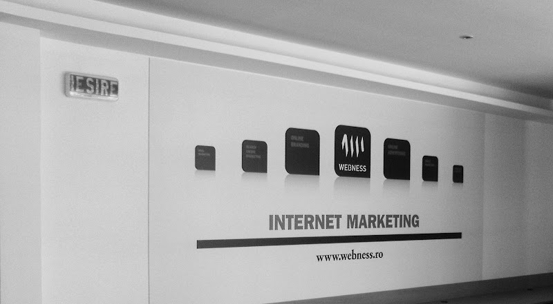 regional business center Timisoara - WEBNESS