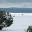 DSC_9899.JPG