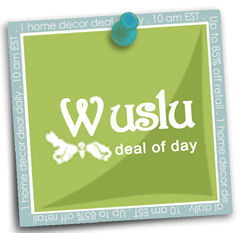 wuslu.com