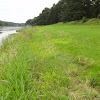 dsc01134.jpg