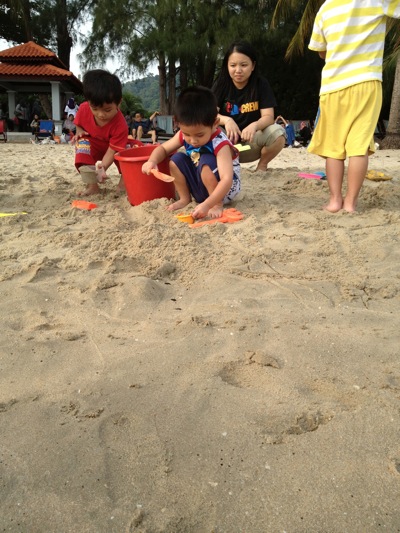 IMG_7967.jpg IMG_7967.jpg