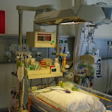 IMGP2138.JPG