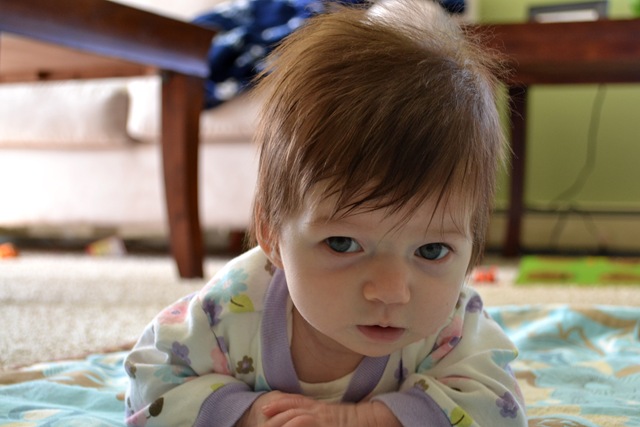 [zDSC_1458%255B4%255D.jpg]