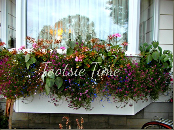 BeFunky_090.jpg BeFunky_090.jpg