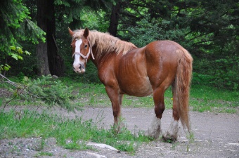 DSC_0637.jpg DSC 0637