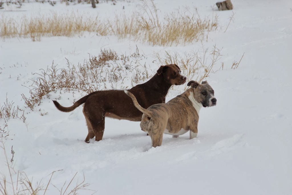 [IMG_1399%255B4%255D.jpg]