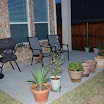 DSC_0003.JPG