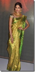 Parvathy Omanakuttan _cute_in_saree_pic