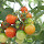 Organisms in the Northeast Region