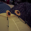 31702_1278210323078_1464625865_30598186_3763370_n.jpg