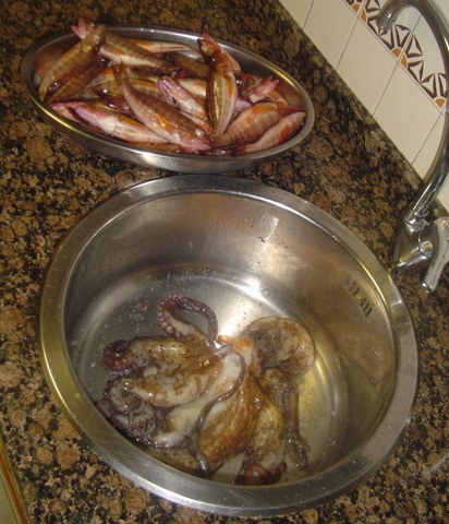 [DSC02152%255B3%255D.jpg]
