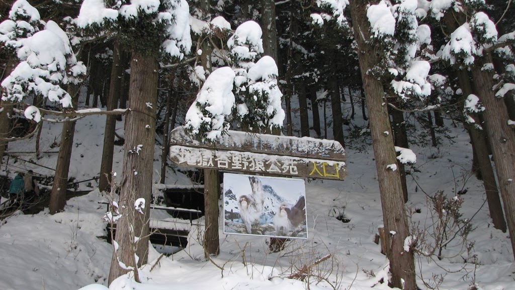 [IMG_4240%255B3%255D.jpg]