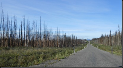 view along Hwy 37 southbound - note the burned forest