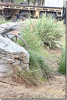 IMG_2613 IMG_2613
