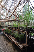 pinoyecofarm penalosa farms_0029.JPG