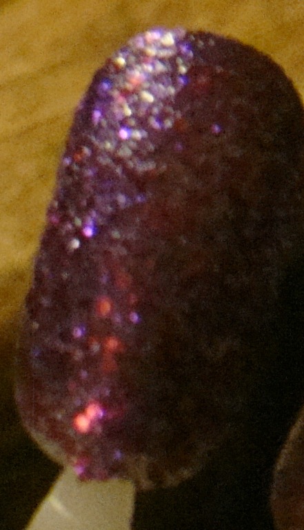 [DSC03559%255B3%255D.jpg]