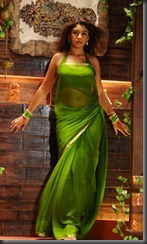 richa_hot_in_halfsaree