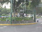 A blurry shot of the coyotes after which the neighborhood Coyoacan is named. ("Coyoacan" derived appropriately from a word meaning "place where they have coyotes")