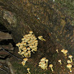 PA030006.JPG