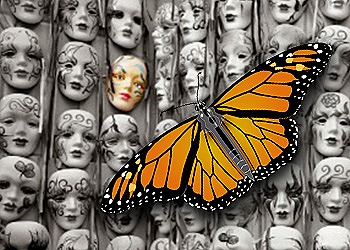 [Programao-Monarca5.jpg]