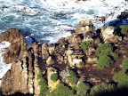 Can you spots the lazy seals?