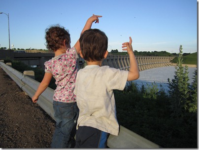 IMG_2295 IMG_2295