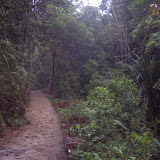 The path to the waterfall, Gn Jantan (Daniel Quinn, October 2010)