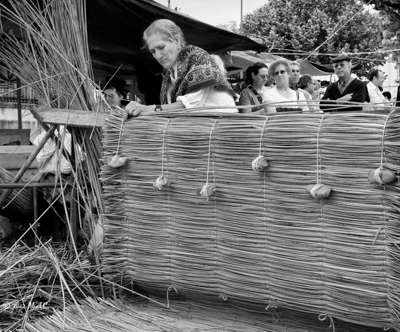 DSC_5019bwf