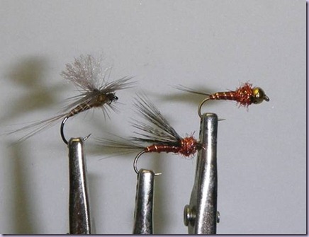clip_image030 clip_image030