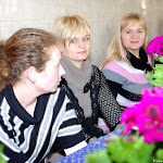 IMGP7452.jpg