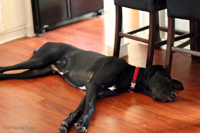 [the%2520happy%2520tulip%2520house%2520tour%25208%255B6%255D.jpg]