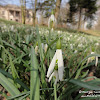 dsc07435.jpg