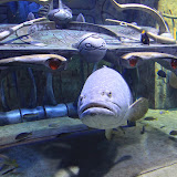 IMG_4803.JPG