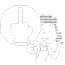 Goole Friend Connect icon size W65xH65
