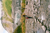 NZD2-12_PA&JK_95070021.JPG