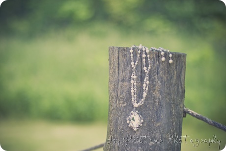 JakeandAmberimg_0293