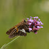 P1080015