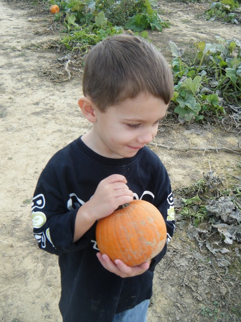 [bottomviewfarmswmops0124.jpg]