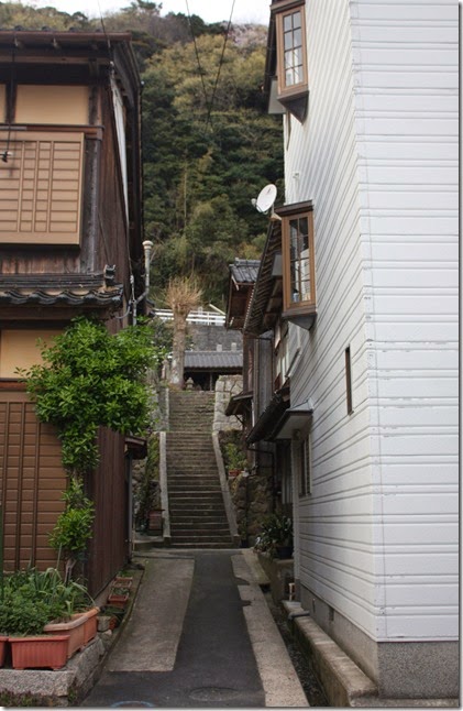 IMG_4103 IMG_4103