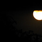 Mond über dem Dunia Camp © Foto: Ulrike Pârvu | Outback Africa Erlebnisreisen