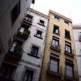 P6184560.JPG