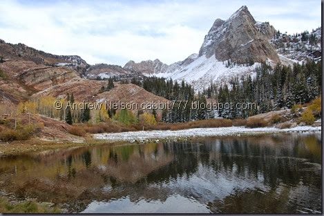 DSC_0957 DSC_0957