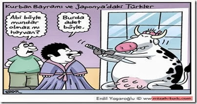 Resmi Büyült