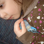 Sept 5-11 Nico (2).JPG