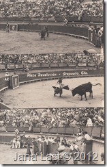 Plaza Revolucion, Irapuato, Mexico Vintage Postcard
