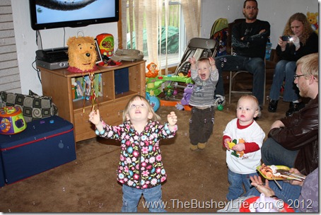 IMG_0381 IMG_0381