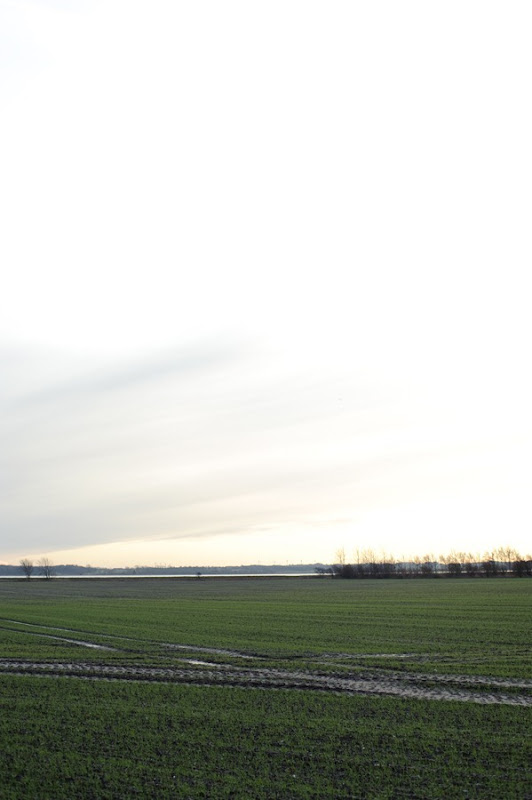 DSC_7276