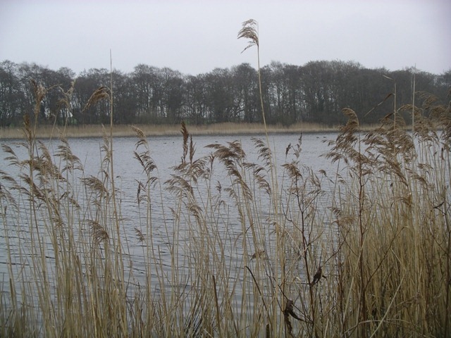 IMGP2231