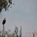 DSCN9656.JPG